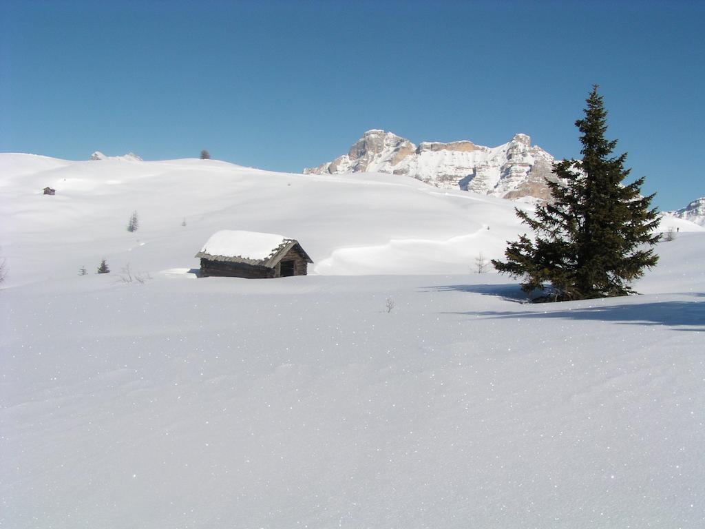 Apartments Residence Alta Badia Colfosco Bagian luar foto